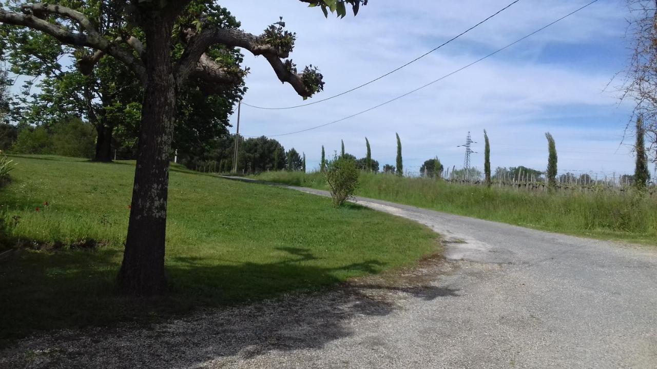 Gite Lieu Dit Gautier Civrac-de-Blaye ภายนอก รูปภาพ